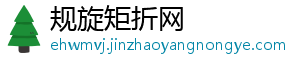 深技大科研团队首次提出基于超光速等离子体尾波场产生阿秒脉冲的方案-规旋矩折网